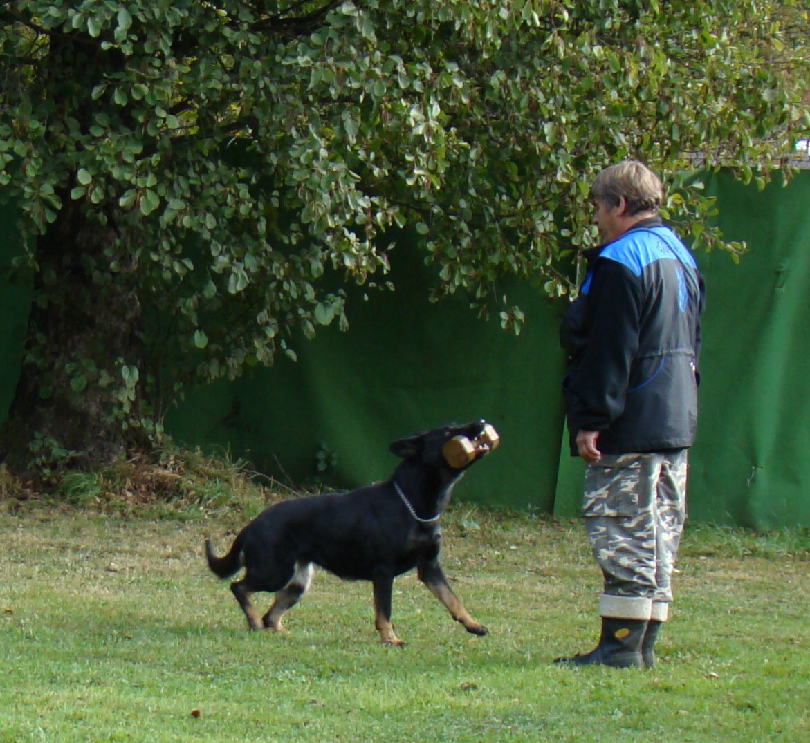 DSC07380.JPG