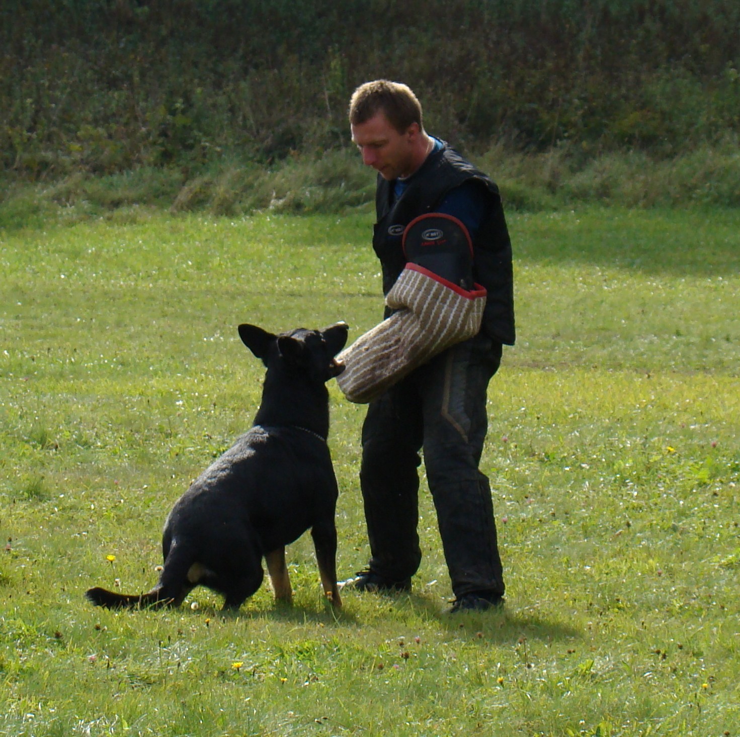 DSC07688.JPG